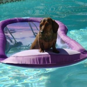 Meet your Posher, Cathy